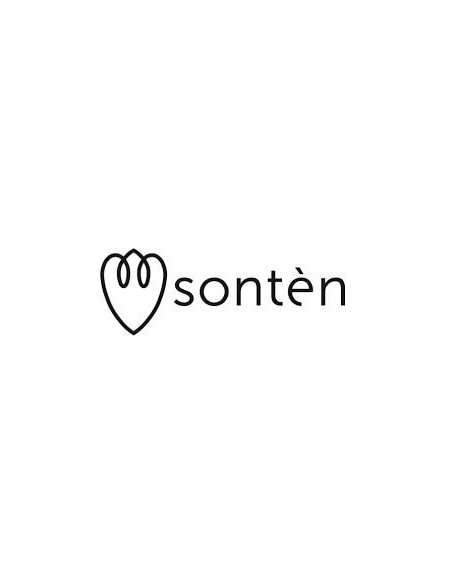 Sonten