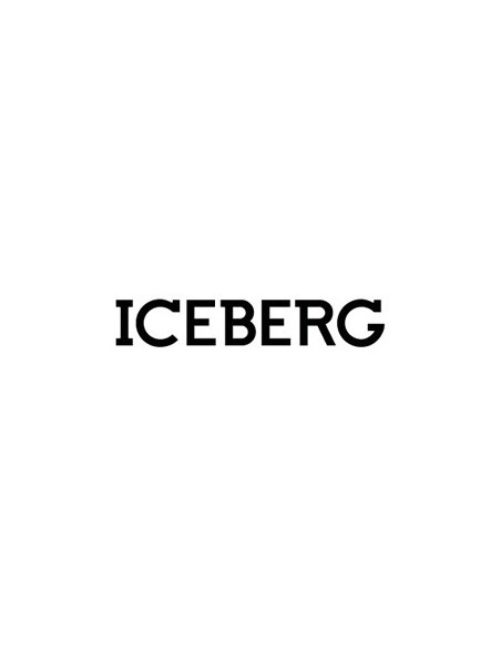 Iceberg